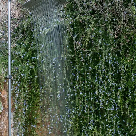 Vila Physis Chania