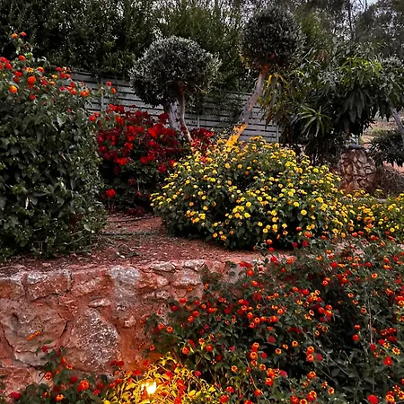 Vila Physis Chania